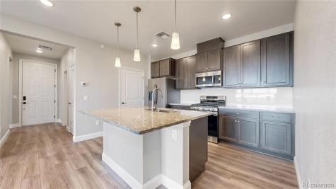 16860 Askins Loop Parker CO 80134