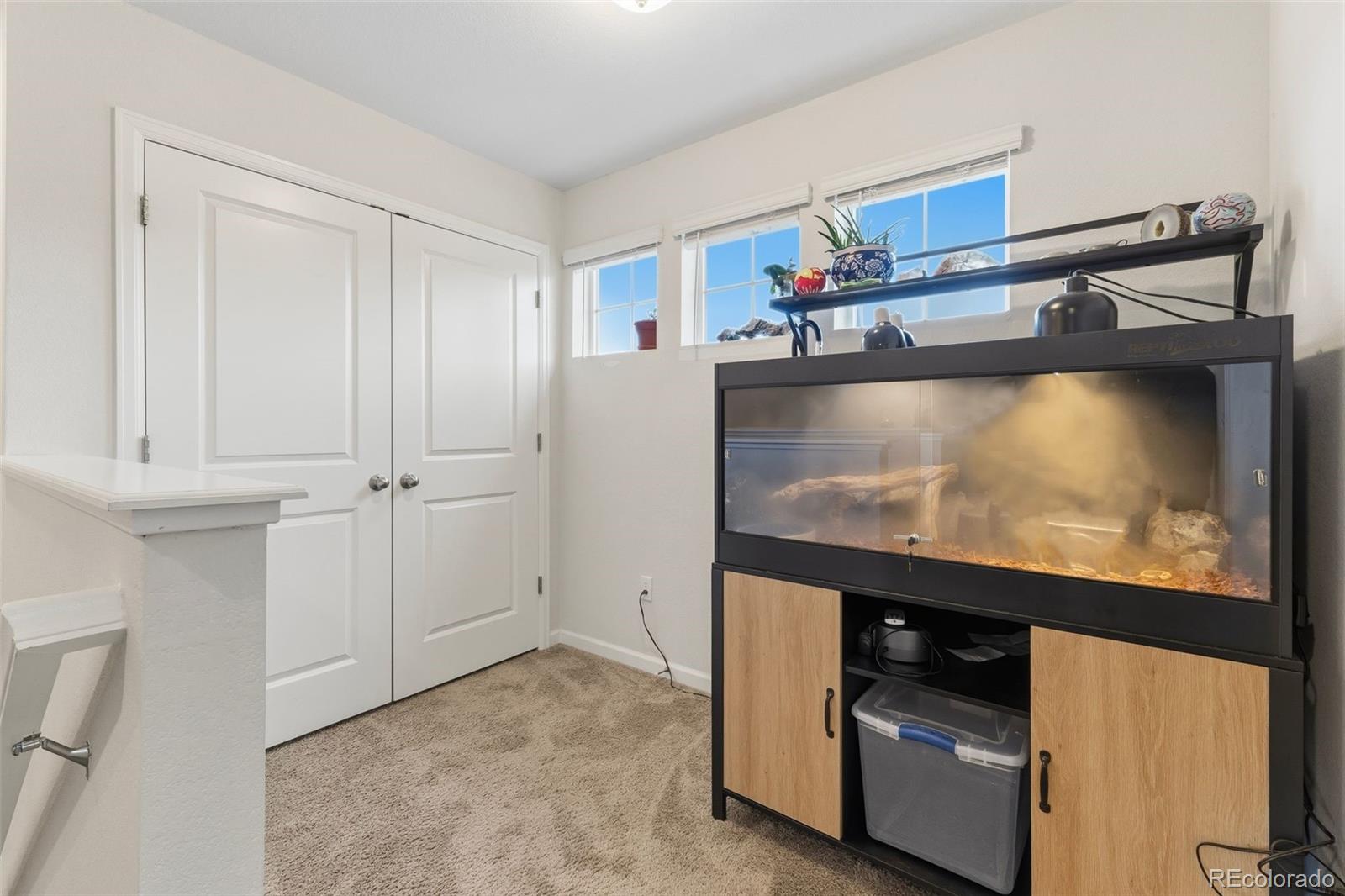 5620 Canyon View Drive Castle Rock CO 80104