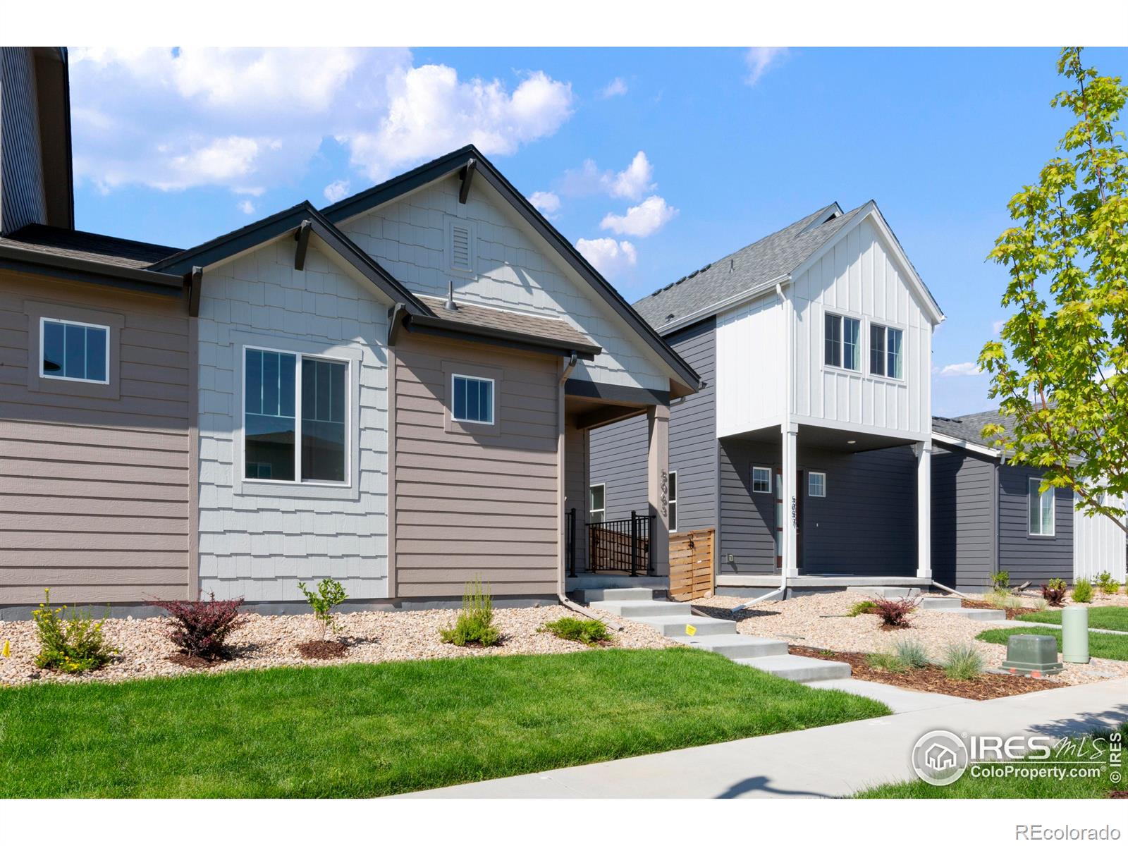 5063 Mckinnon Court Timnath CO 80547
