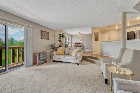 1661 Deer Creek Road Monument CO 80132