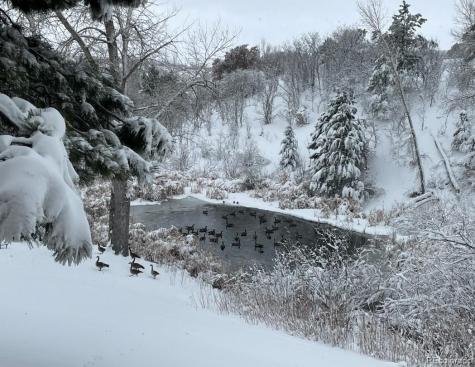 1661 Deer Creek Road Monument CO 80132