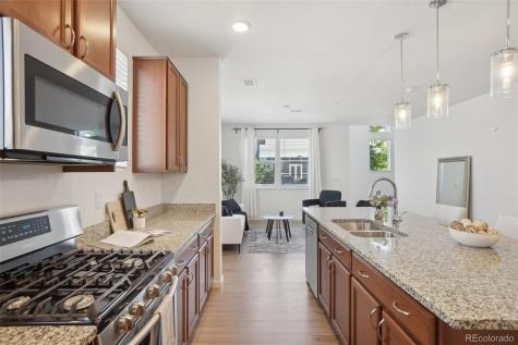 1743 Spring Water Point Colorado Springs CO 80908