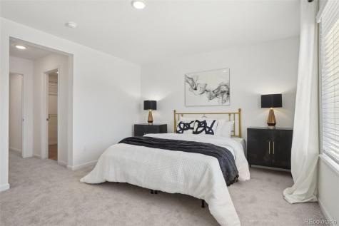 1743 Spring Water Point Colorado Springs CO 80908