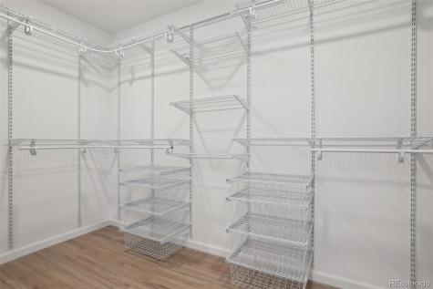 1743 Spring Water Point Colorado Springs CO 80908