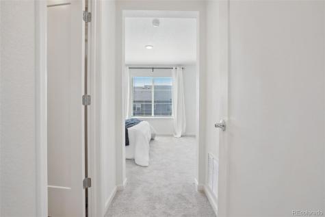 1743 Spring Water Point Colorado Springs CO 80908