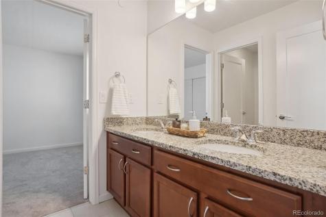 1743 Spring Water Point Colorado Springs CO 80908