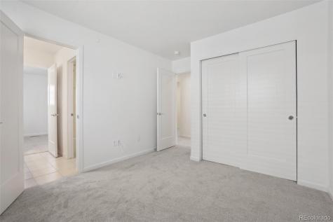 1743 Spring Water Point Colorado Springs CO 80908