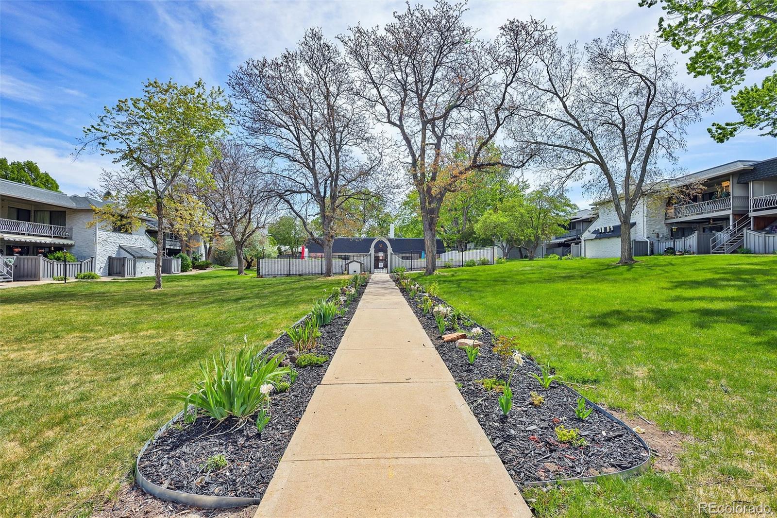 3538 S Ivanhoe Street Denver CO 80237