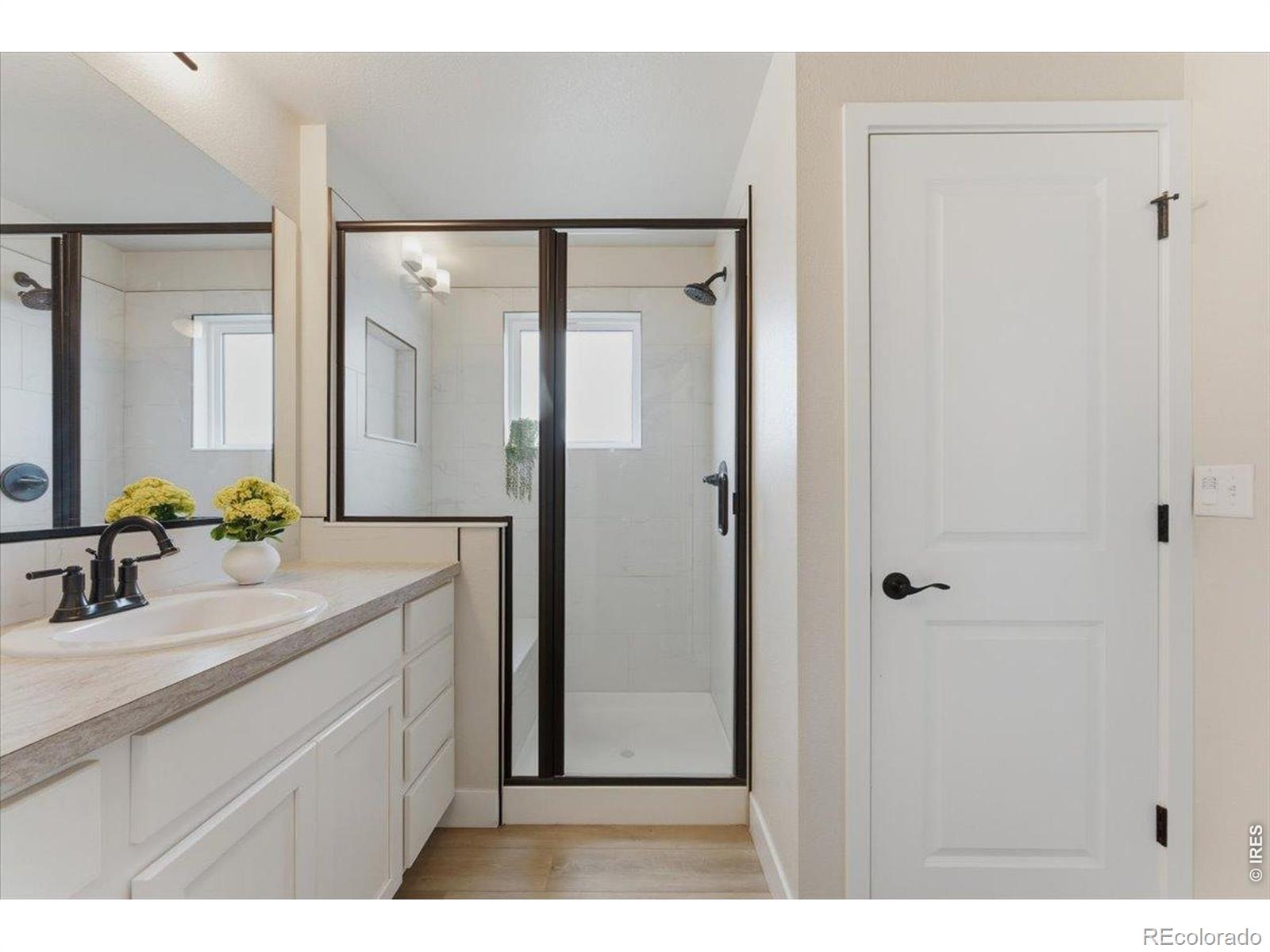 3217 Da Vinci Drive Loveland CO 80538