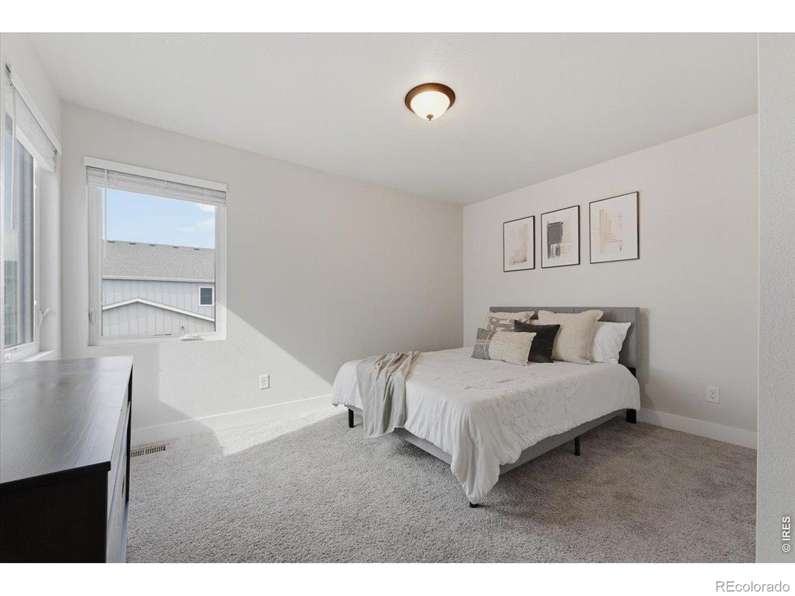 3217 Da Vinci Drive Loveland CO 80538