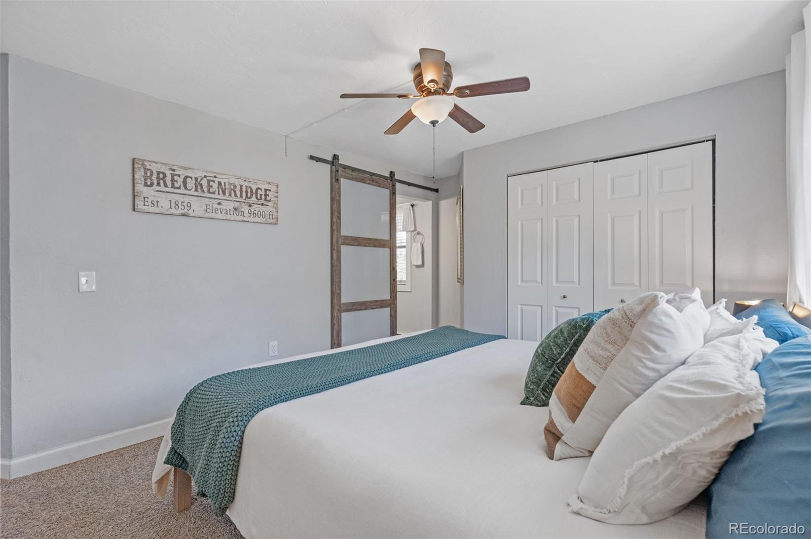 550 S French Street Breckenridge CO 80424