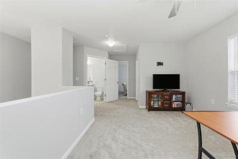1464 Bergen Rock Street Castle Rock CO 80109