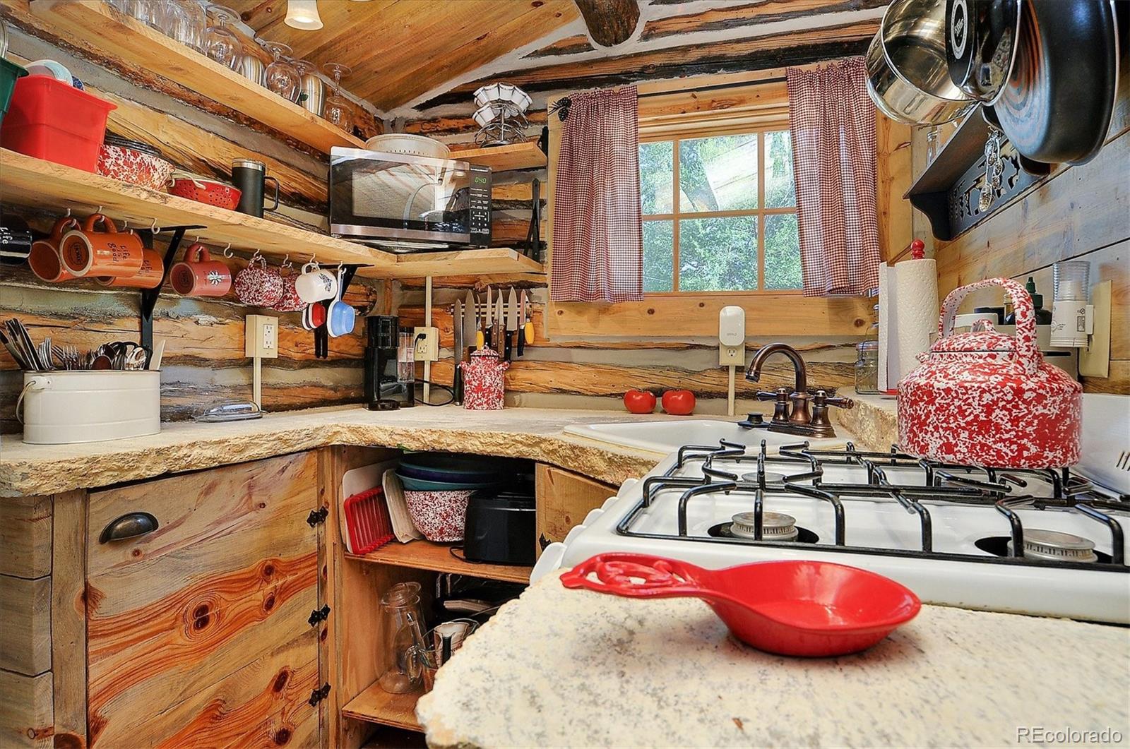 226 S San Juan Avenue Buena Vista CO 81211