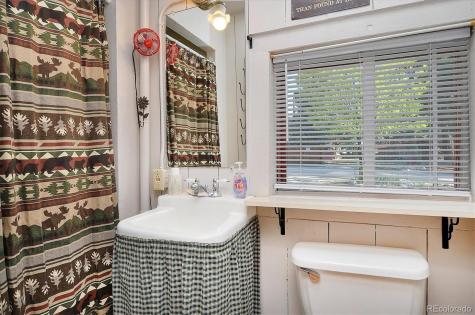 226 S San Juan Avenue Buena Vista CO 81211