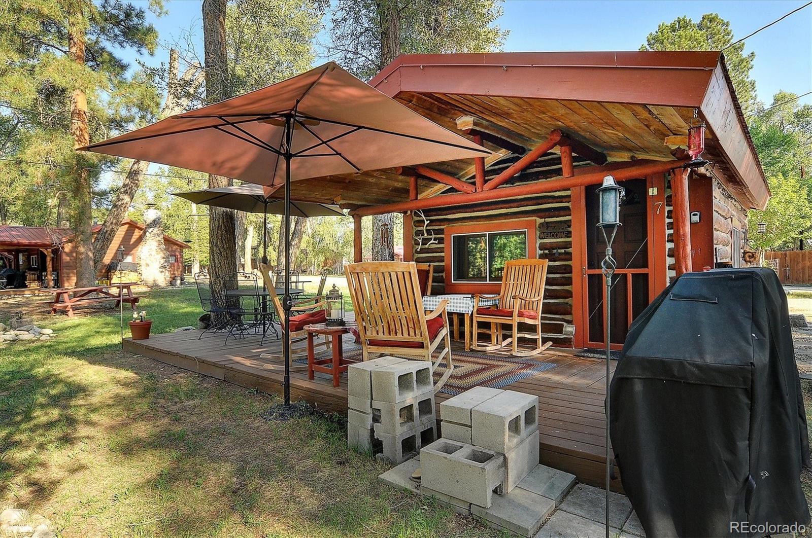 226 S San Juan Avenue Buena Vista CO 81211
