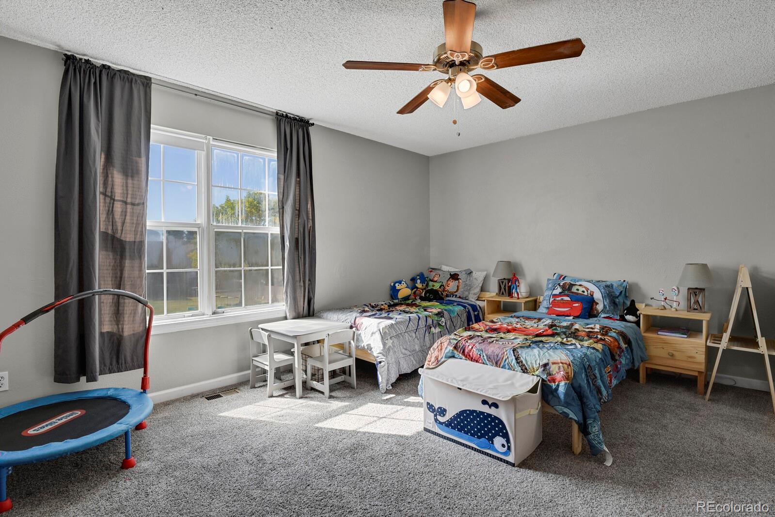 20012 Briarwood Court Parker CO 80138
