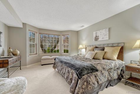 9356 Bauer Court Lone Tree CO 80124