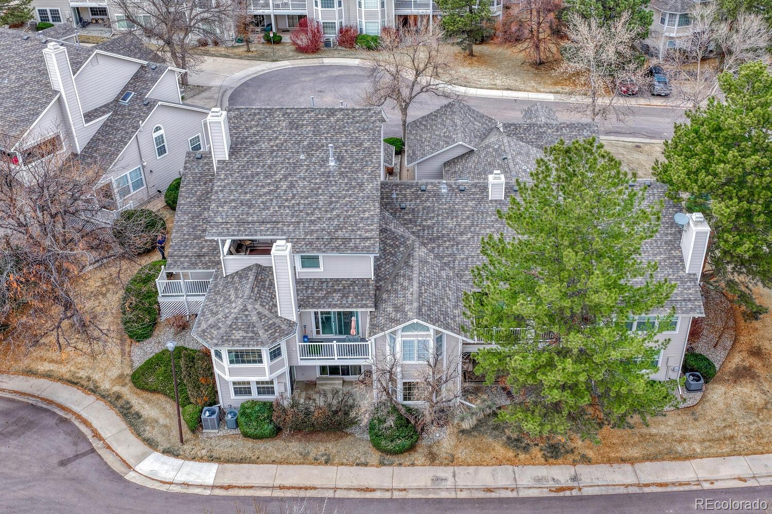 9356 Bauer Court Lone Tree CO 80124