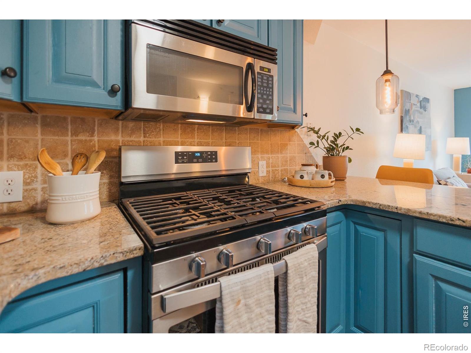 233 N Meldrum Street Fort Collins CO 80521