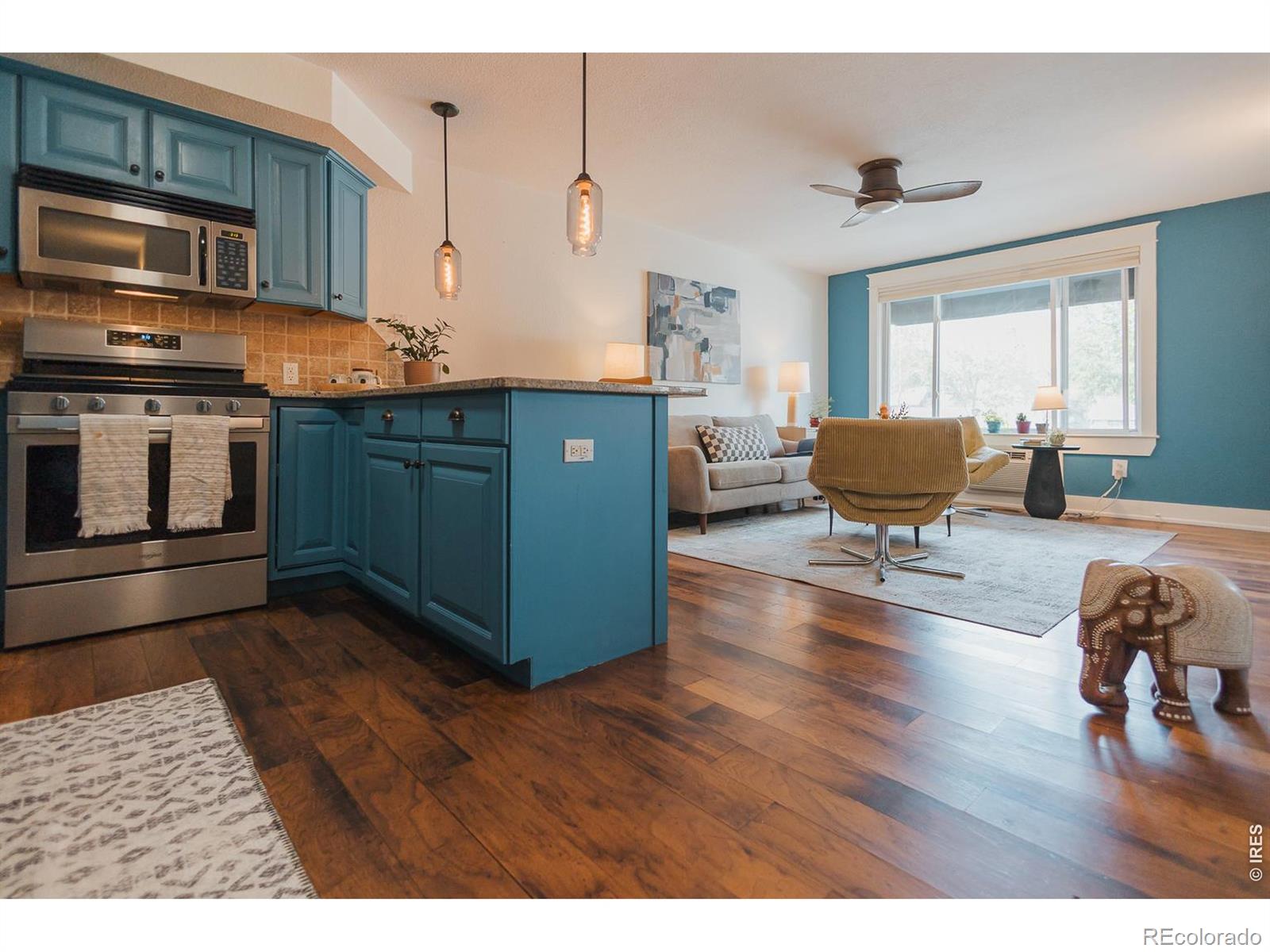 233 N Meldrum Street Fort Collins CO 80521
