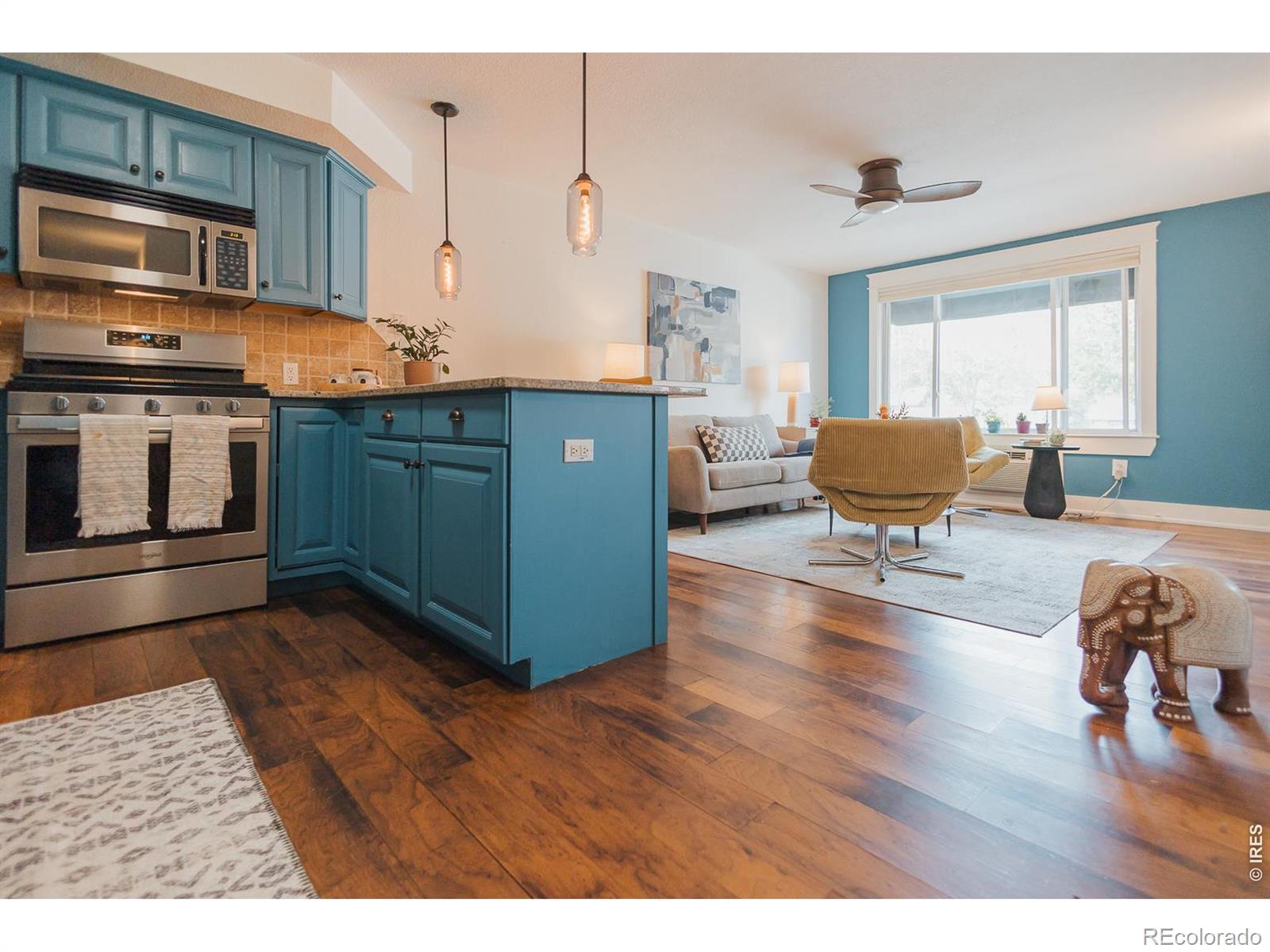233 N Meldrum Street Fort Collins CO 80521