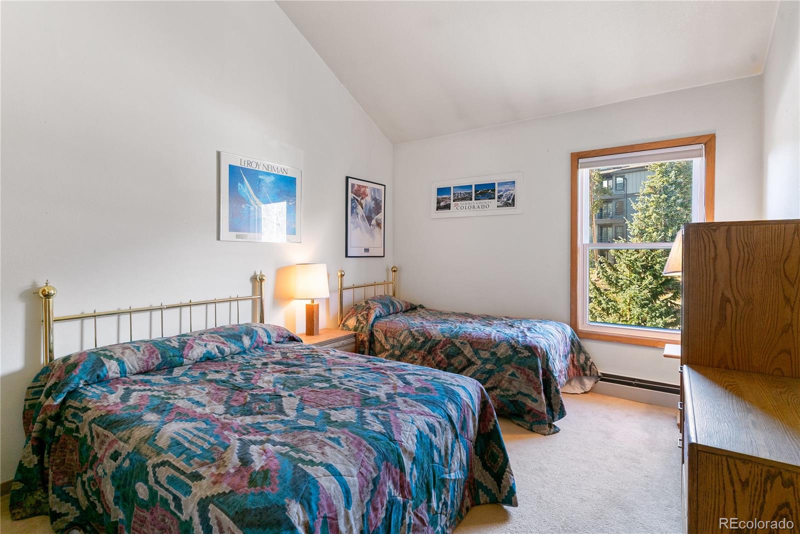 89310 Ryan Gulch Road Silverthorne CO 80498