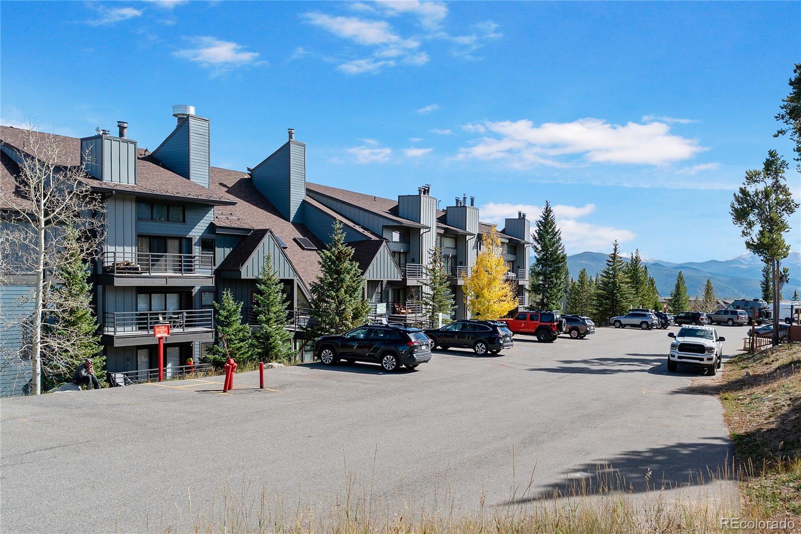 89310 Ryan Gulch Road Silverthorne CO 80498