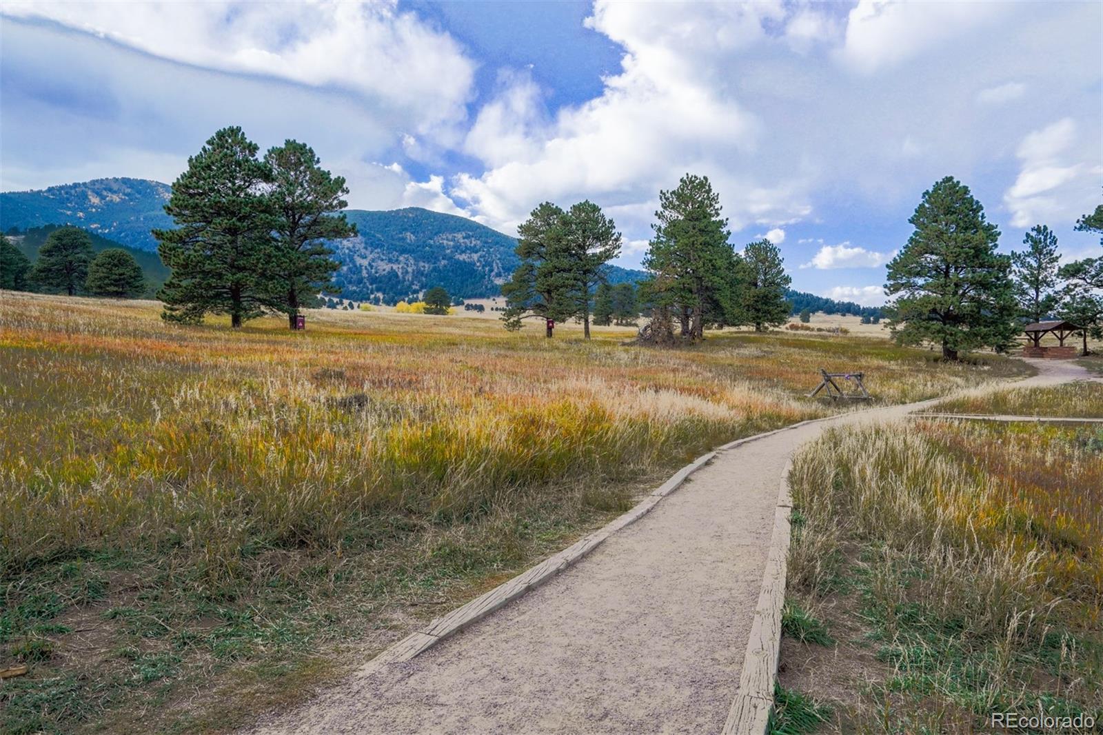 30591 Sun Creek Drive Evergreen CO 80439