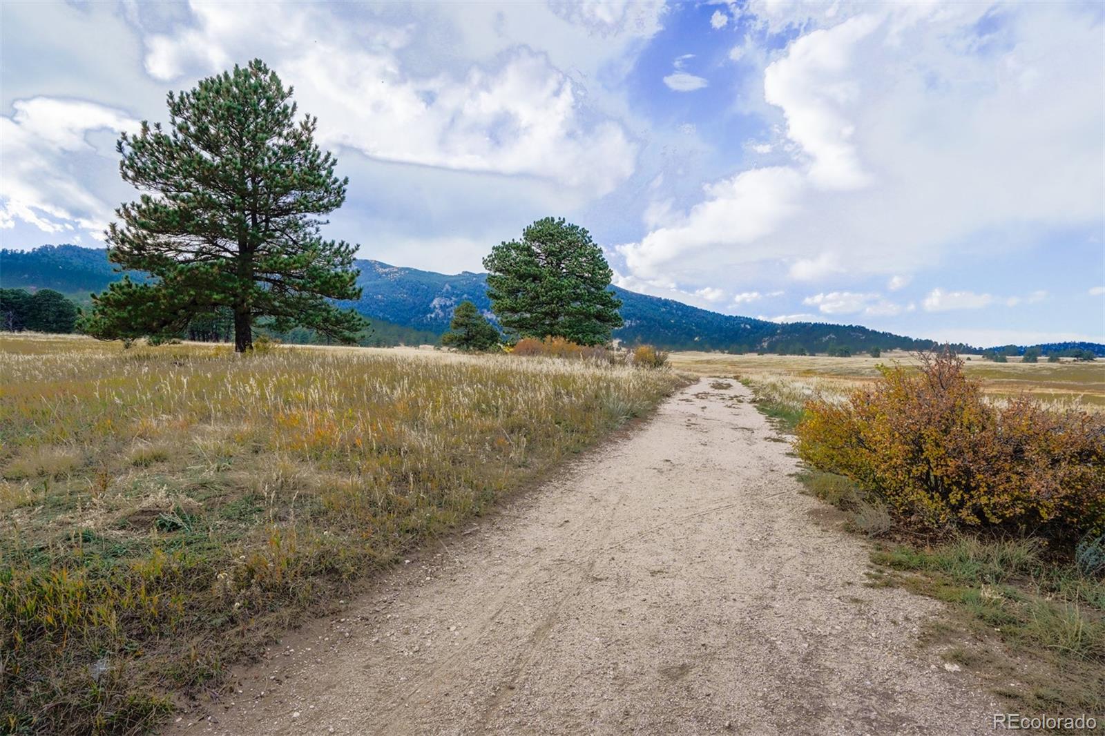 30591 Sun Creek Drive Evergreen CO 80439