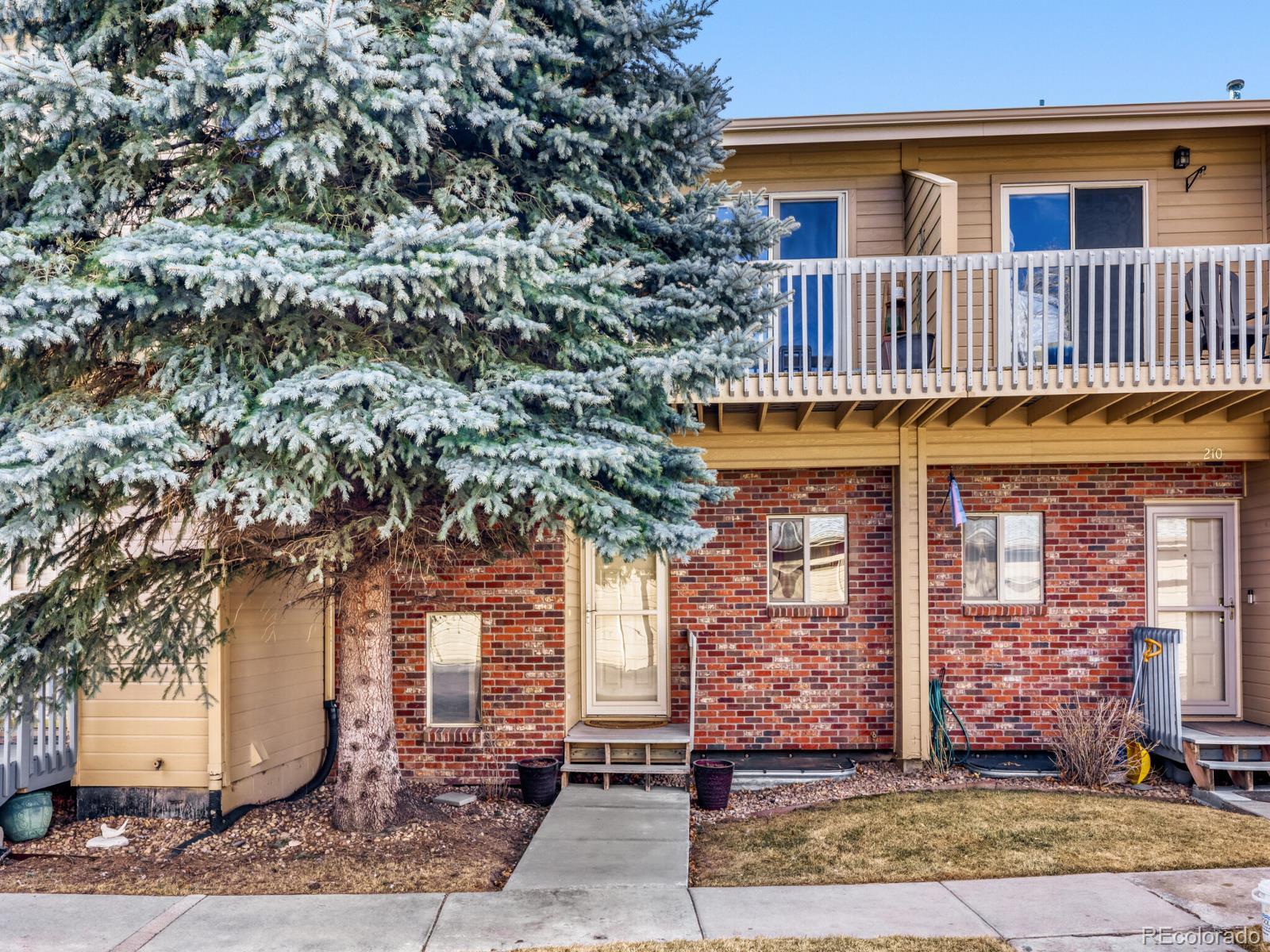 212 S Oman Road Castle Rock CO 80104