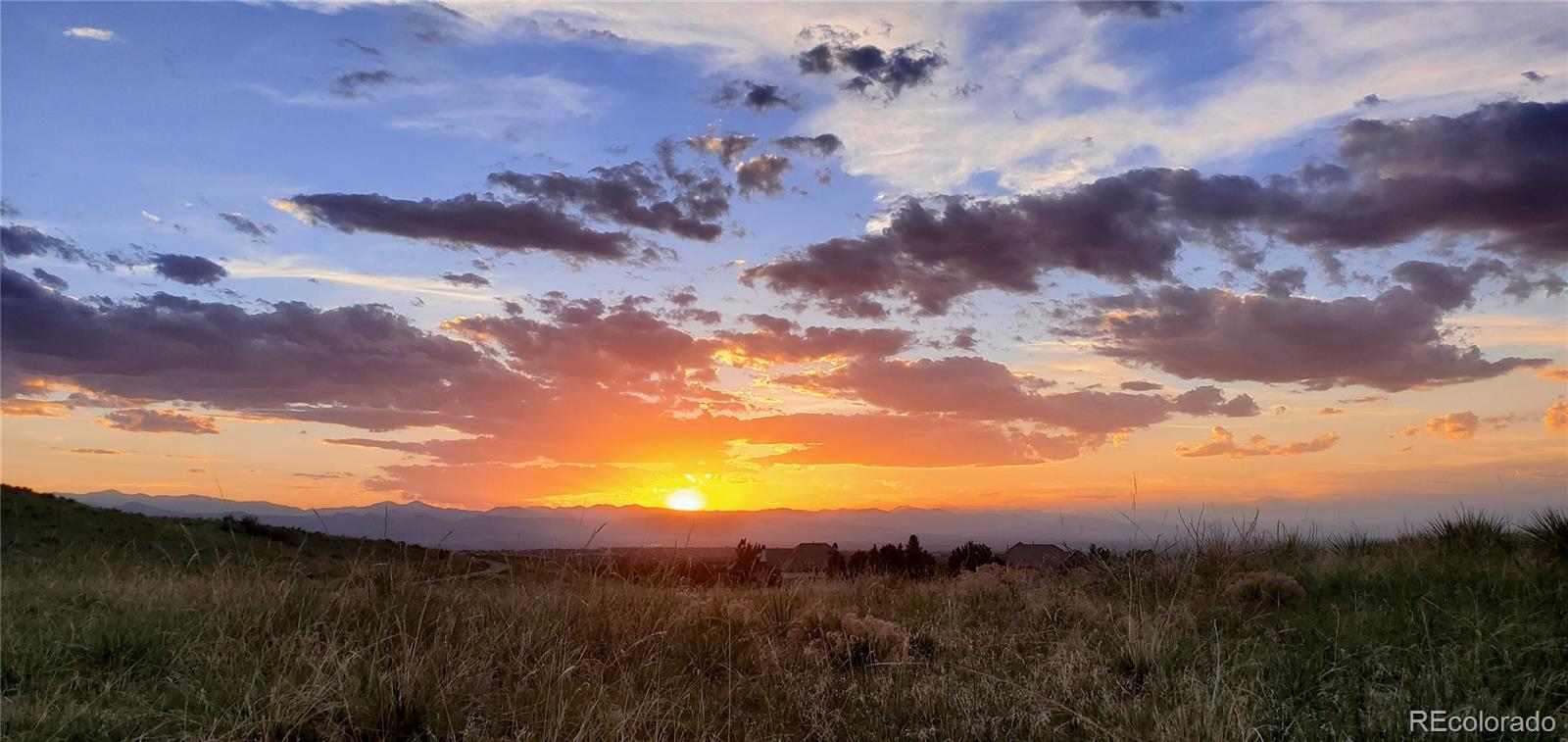 10066 Belvedere Circle Lone Tree CO 80124