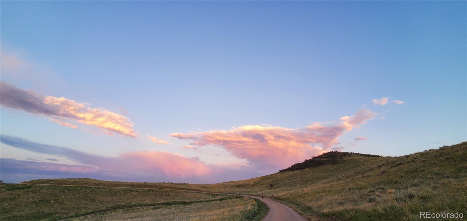 10066 Belvedere Circle Lone Tree CO 80124