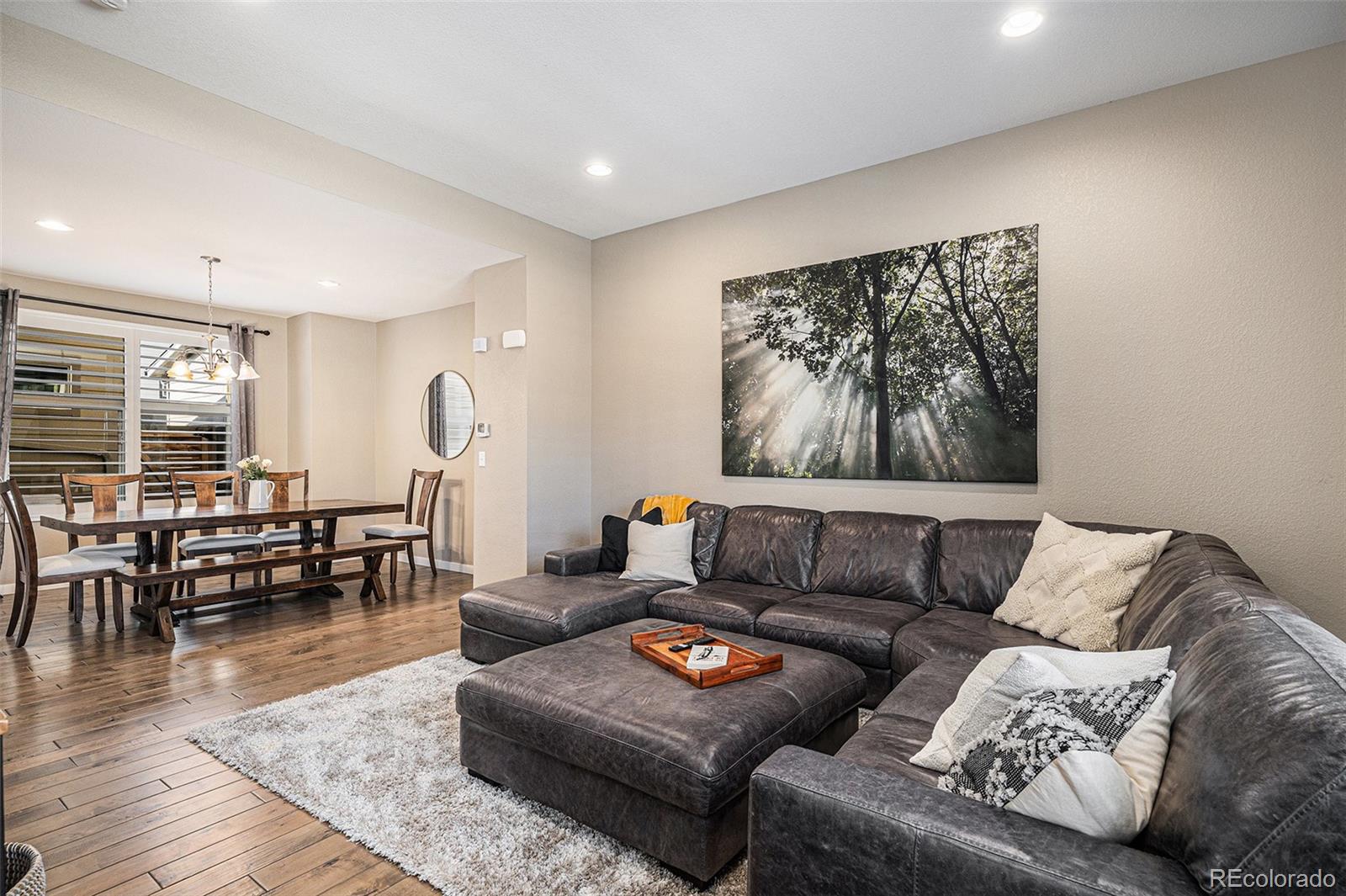 10066 Belvedere Circle Lone Tree CO 80124
