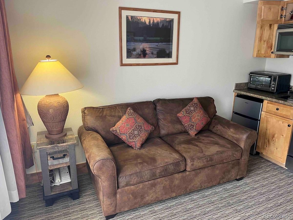 6 Emmons Road Crested Butte CO 81225