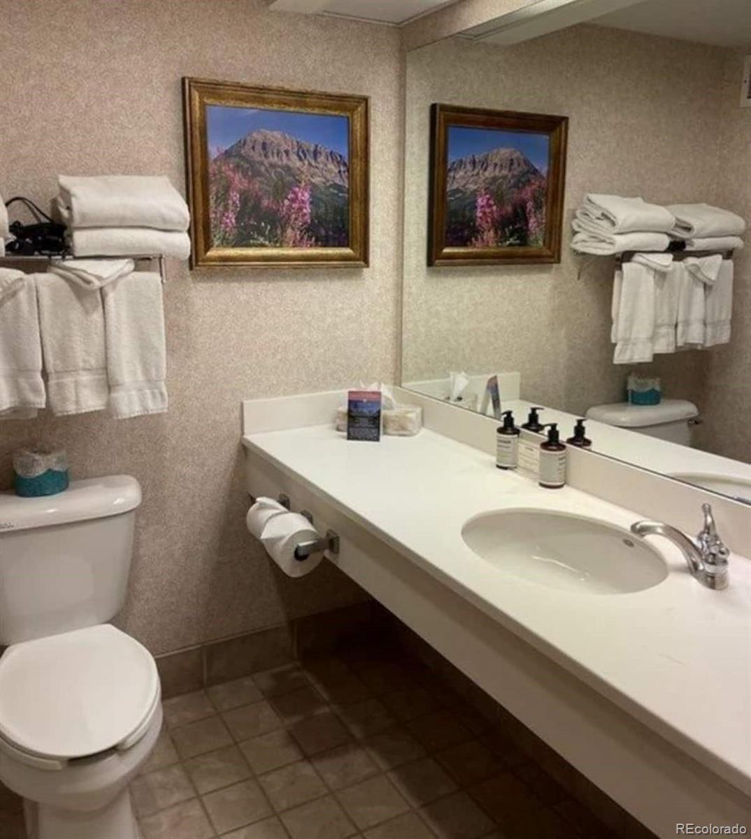 6 Emmons Road Crested Butte CO 81225