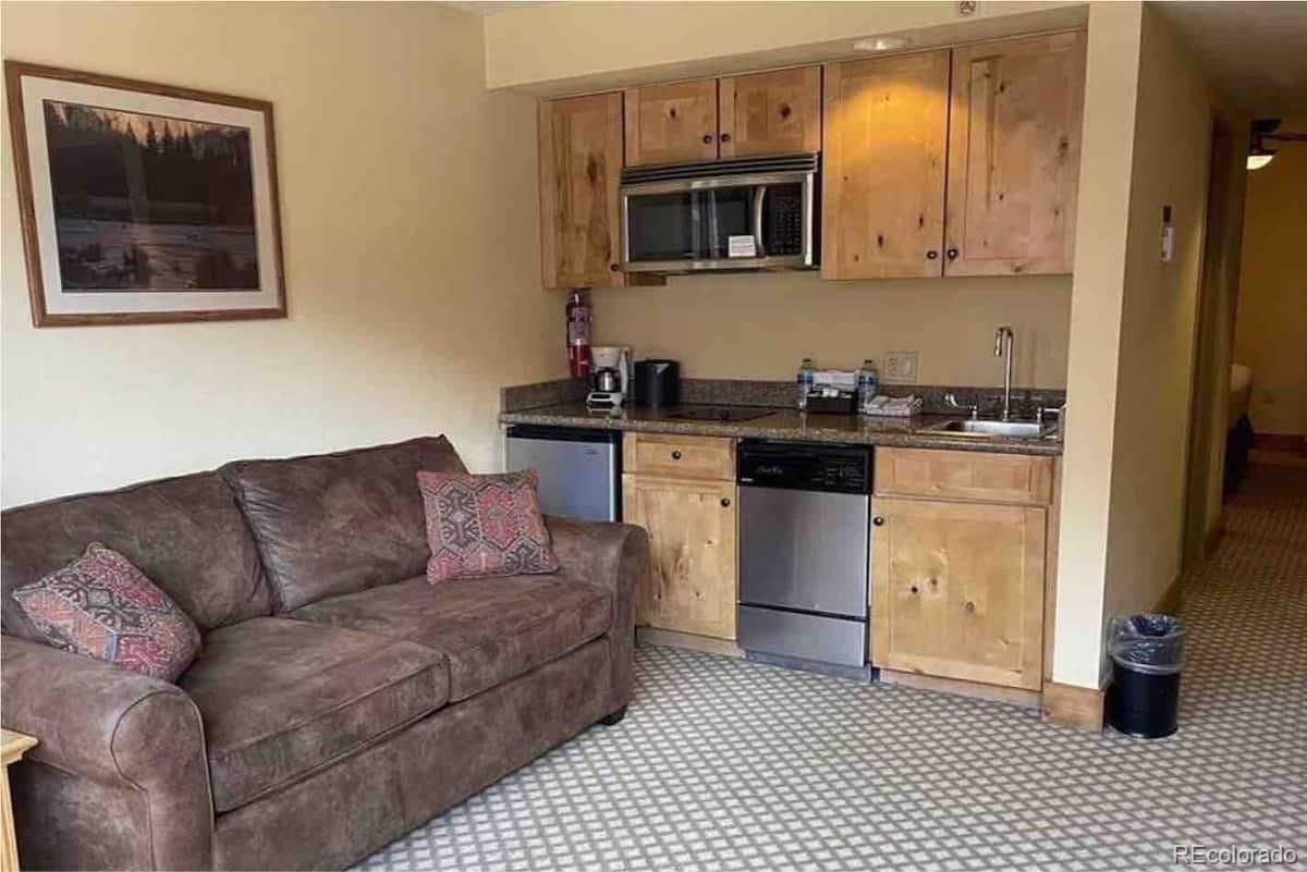 6 Emmons Road Crested Butte CO 81225