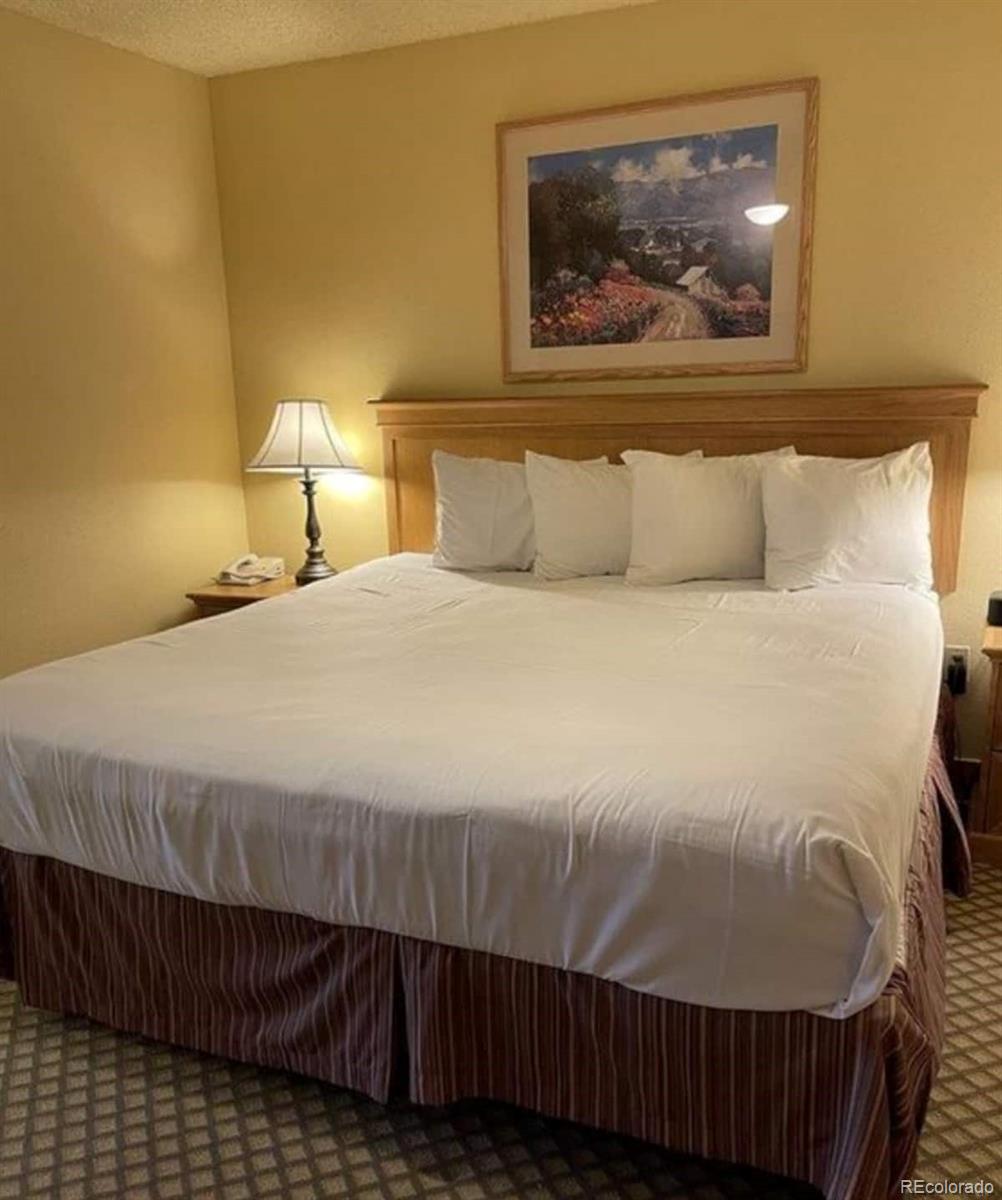 6 Emmons Road Crested Butte CO 81225