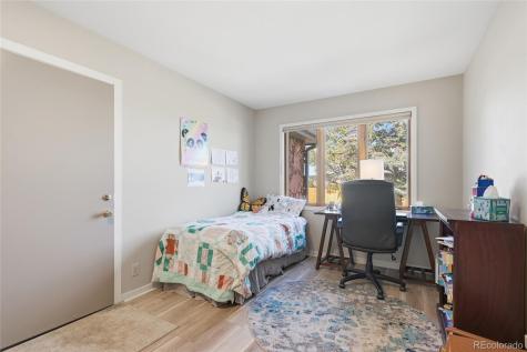3641 Joyful Way Evergreen CO 80439