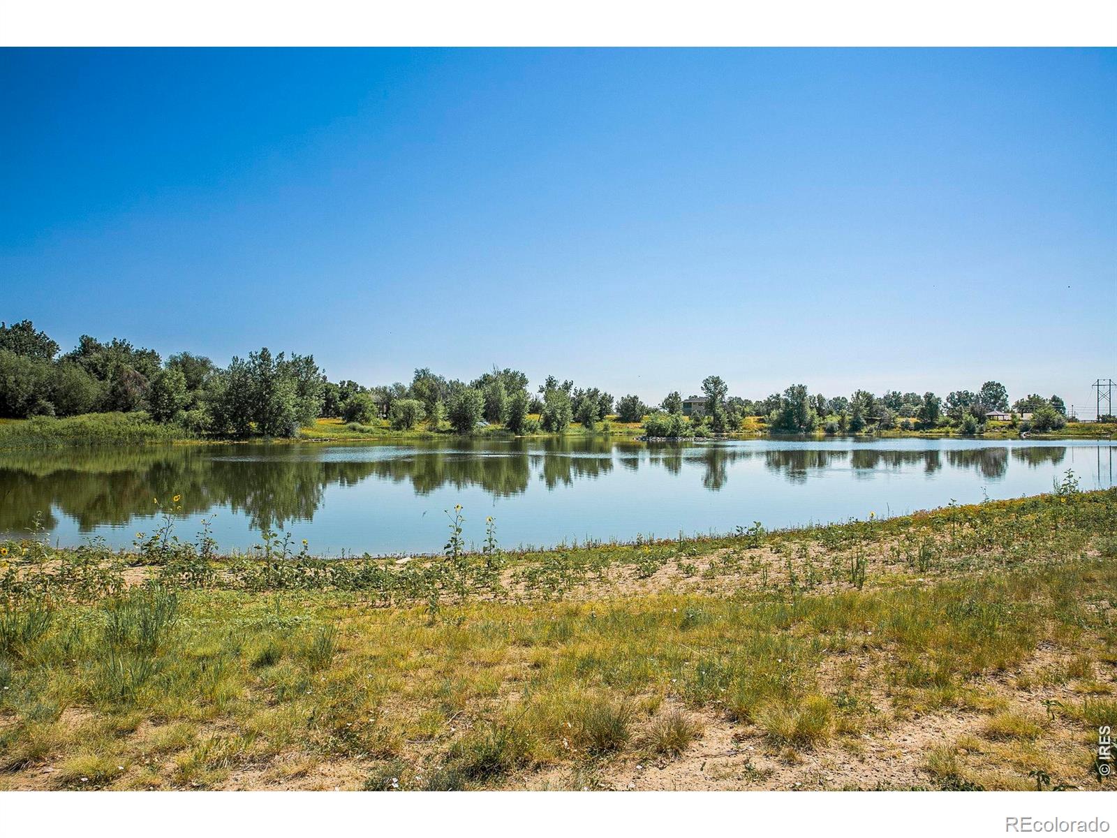 1320 Snowberry Lane Louisville CO 80027