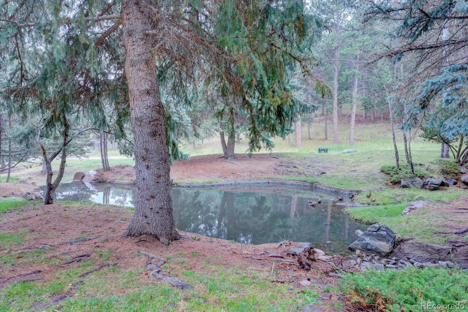 23518 Pondview Place Golden CO 80401