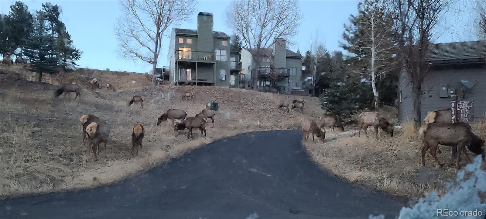 23518 Pondview Place Golden CO 80401