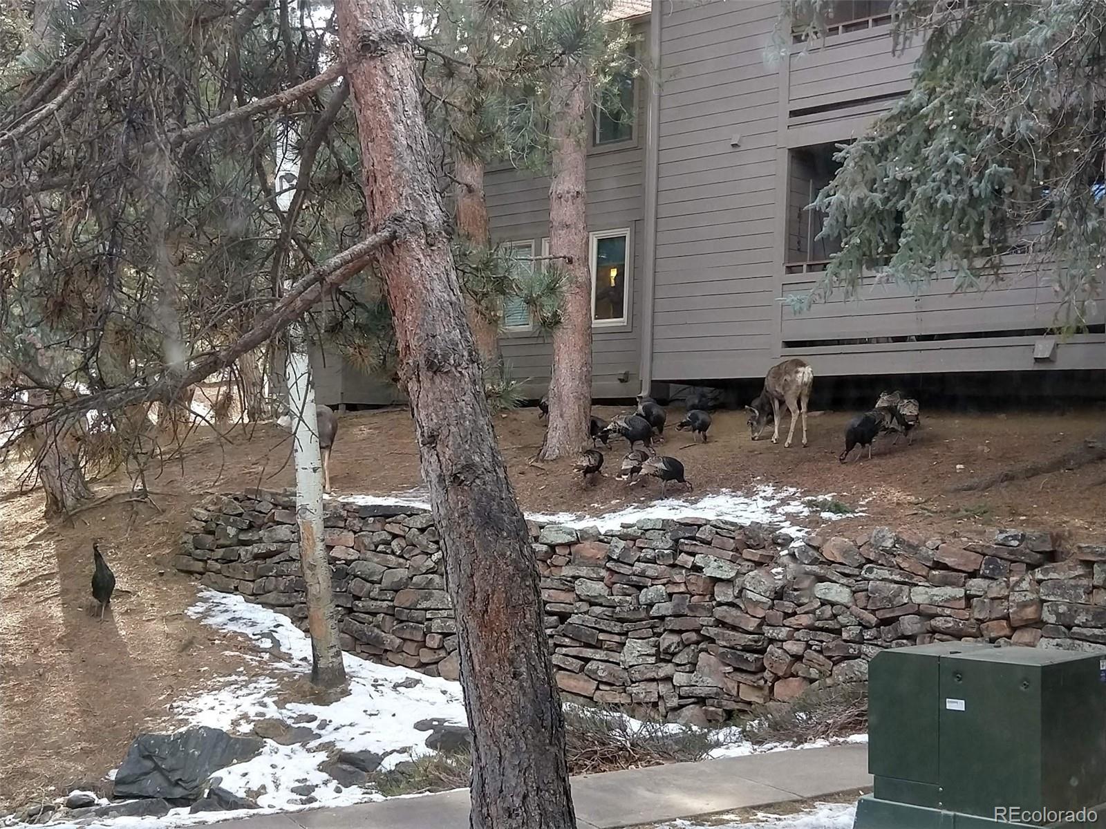 23518 Pondview Place Golden CO 80401