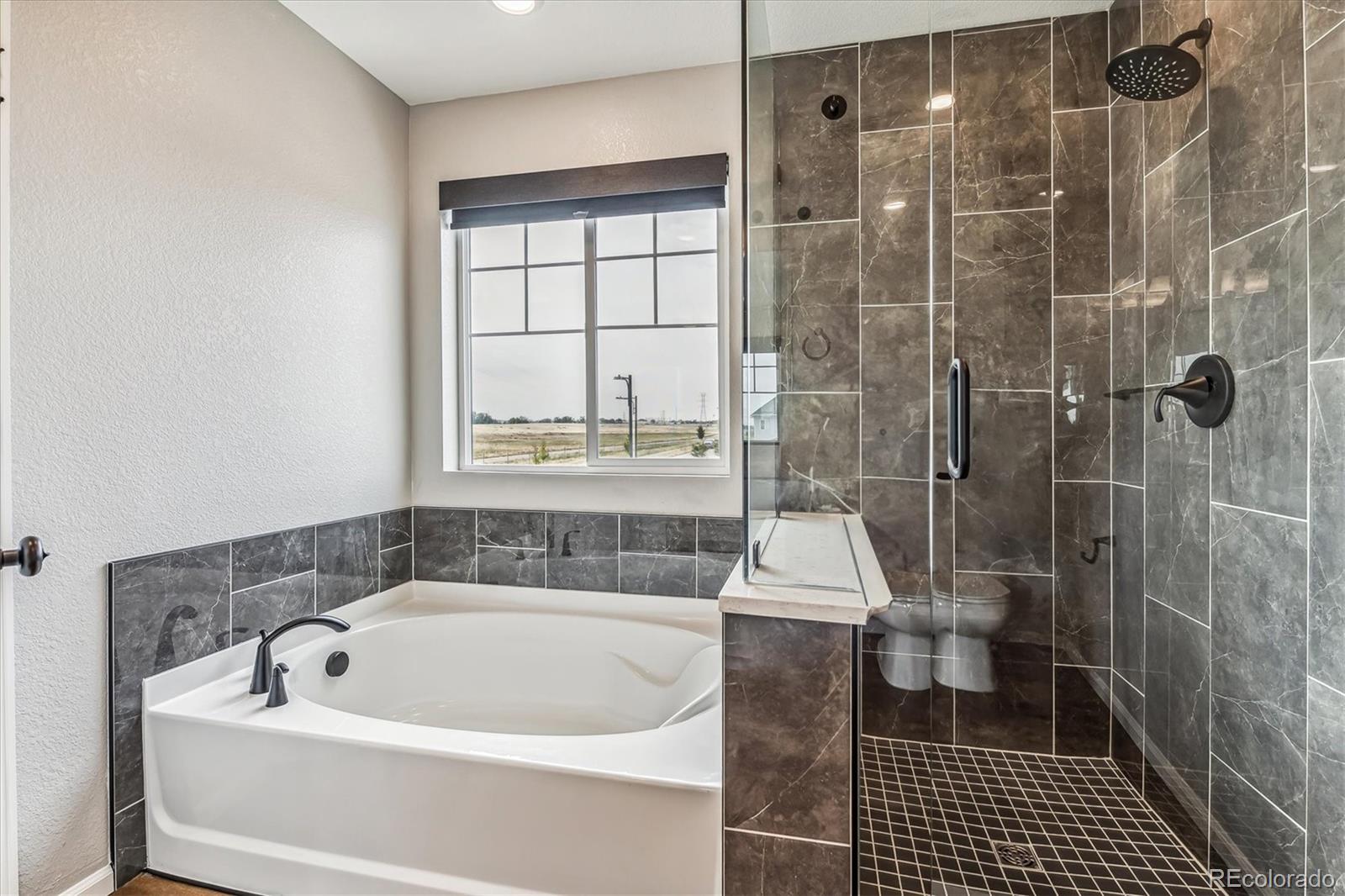 6105 Hanover Street Denver CO 80238