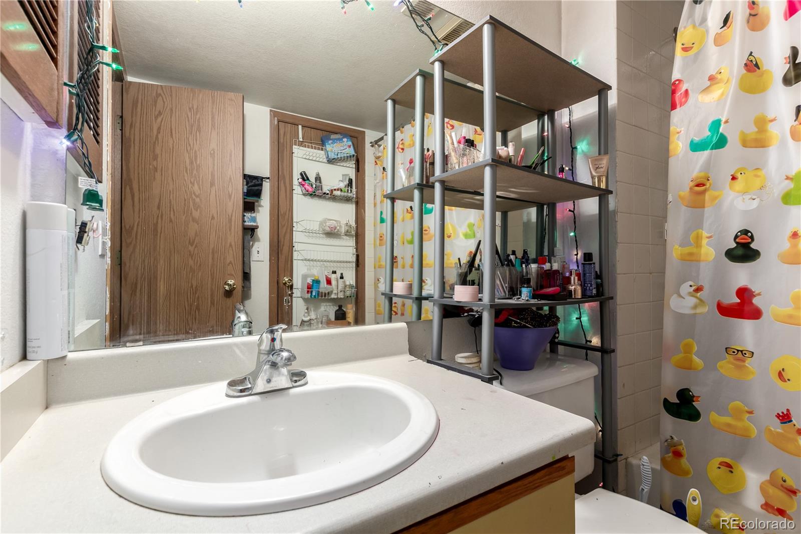 1341 S Cathay Court Aurora CO 80017