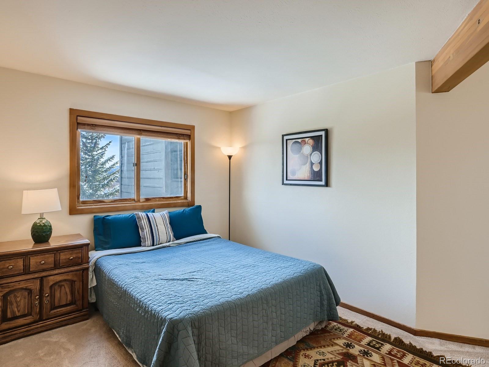 94300 Ryan Gulch Road Silverthorne CO 80498