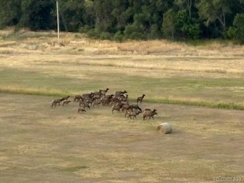 9962 W Victoria Place Littleton CO 80127