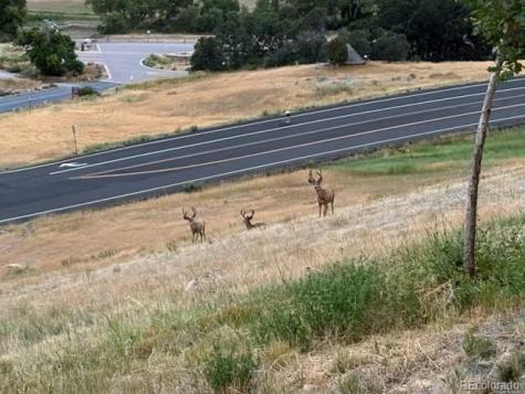 9962 W Victoria Place Littleton CO 80127