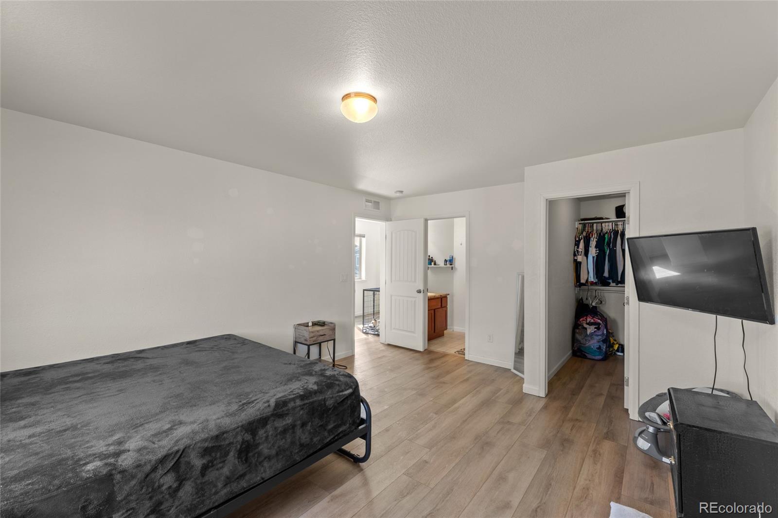 3145 Alybar Drive Wellington CO 80549