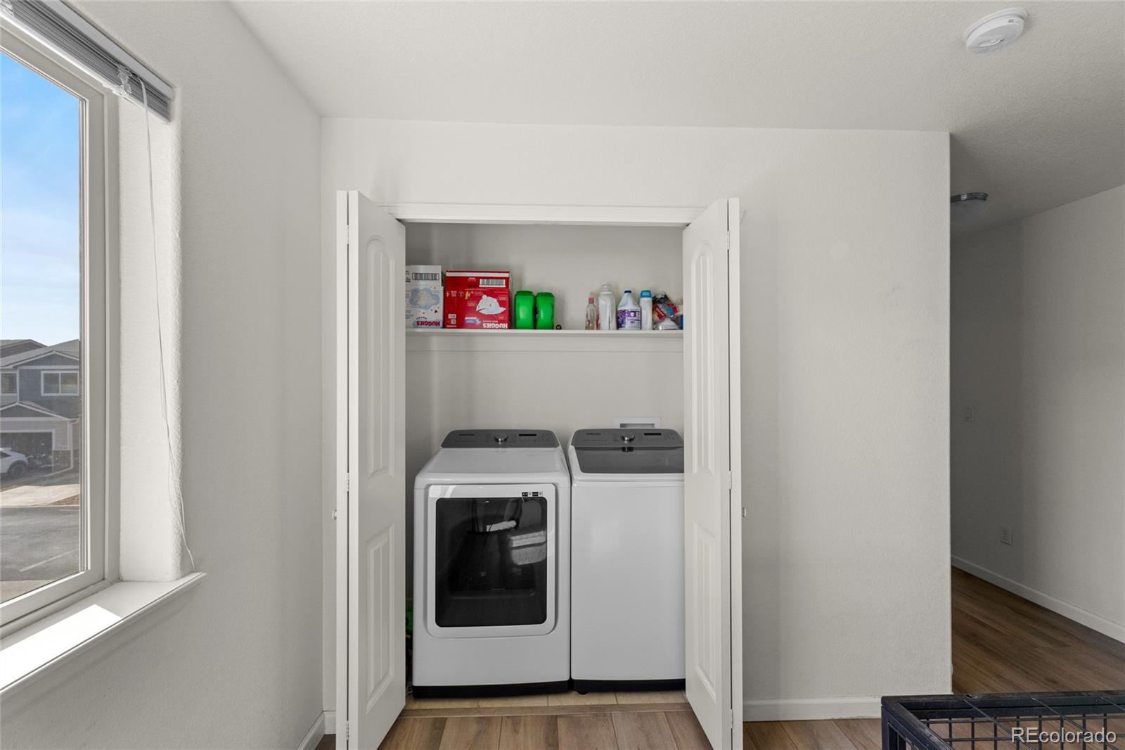 3145 Alybar Drive Wellington CO 80549