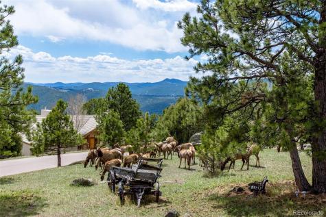 23624 Pondview Place Golden CO 80401